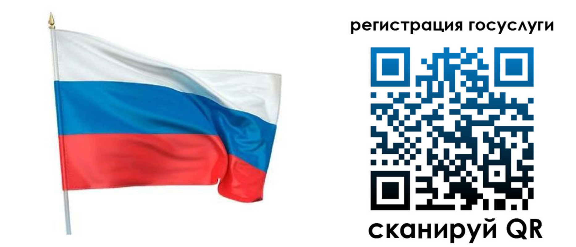 прописка паспорт в Электрогорске